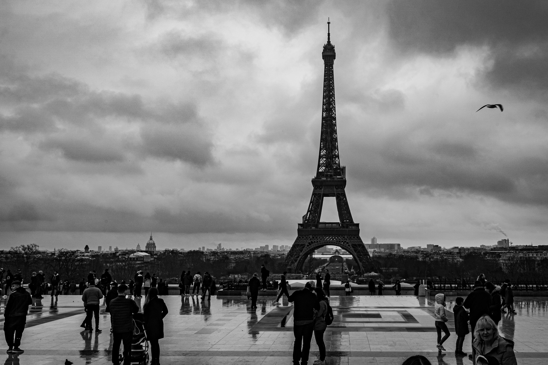 📷 Je continue ma série de photos de la @paris_maville toujours en 2023 (j'ai des archives en stock 😅).

De nouveau en noir et blanc car la météo et l'ambiance s'y prêtait bien.

Cette fois, nous sommes sur le parvis des Droits de l'Homme, place du Trocadéro. Un moment de vie et de mouvement avec la foule devant la @toureiffelofficielle.

#noiretblancphotographie #bw_photooftheday #bw_addiction #patrimoine #nb #bw #blackandwhitephotography #noiretblancphotographie #architecture #architecturephotography #perspective #urbanphotography #cityscapes #urban_lovers #urbanisme #city_landscape #photostreet #streetphotography #parapluie #paris #trocadero #toureiffel #sonyalpha
------
📷 @sony France A7III - F/16 - 1/125 s - ISO 640 - 28 mm
🔭 @tamron_france 28-75 G2